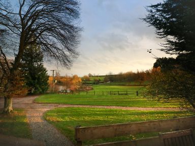 A rural landscape with trees a gravel path and green fields at Rose Lodge in Milton on Stour