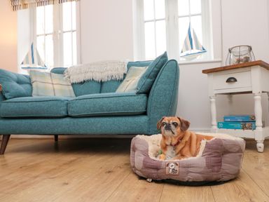 A living room with a blue sofa a dog in a bed and a side table with board games at Dotty's Sunshine Cottage in The Bay near Filey