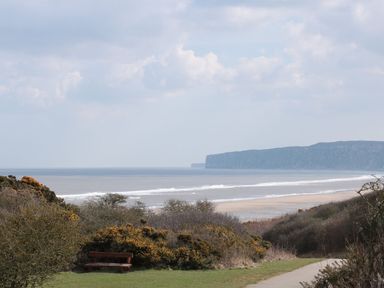 A coastal view with a bench overlooking a beach and cliffs at Dotty's Sunshine Cottage The Bay near Filey