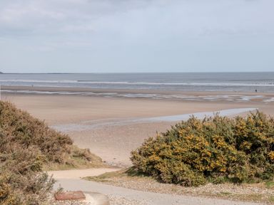 A sandy beach with low tide and bushes with yellow flowers at Dotty's Sunshine Cottage The Bay near Filey