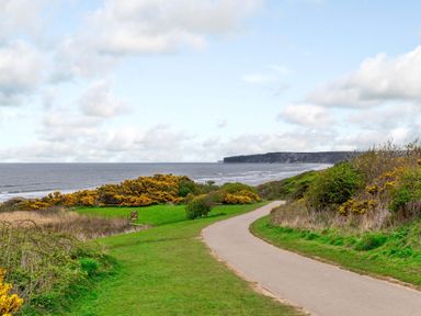 A paved path along grassy hills overlooking the sea with cliffs in the distance at The Bay near Filey