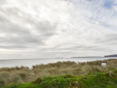 A coastal landscape with tall grass by the sea under a cloudy sky at Wavecrest in Pwllheli