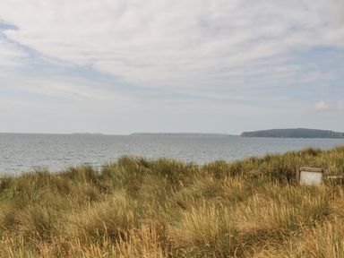 A coastal scene with tall grasses and sea with distant hills at Wavecrest in Pwllheli