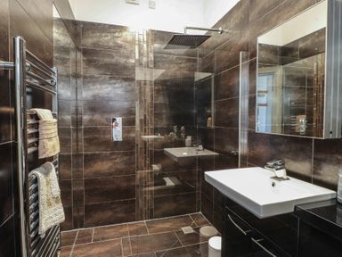 A bathroom featuring a shower, sink, and towel warmer at Wavecrest in Pwllheli