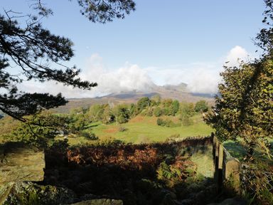 A landscape view of a grassy field with trees and hills in the background at Yr Hen Dy in Llan Ffestiniog