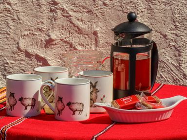 A tea setup with a French press, four animal-themed mugs, a glass jug, and wrapped Lotus Biscoff biscuits on a red cloth at The Flat At Brwyn in Brynford