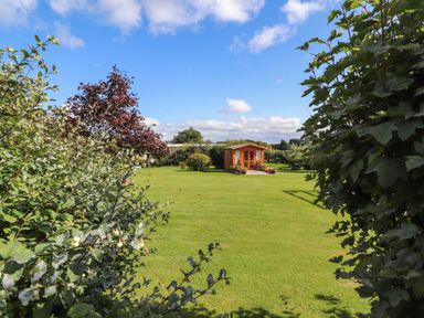 A garden with green grass a wooden shed and plants on the sides at The Flat At Brwyn in Brynford