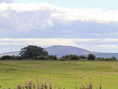 A grassy field with bushes and trees with a hill and cloudy sky in the background at The Flat At Brwyn in Brynford