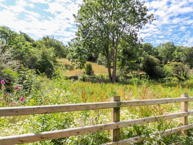 A garden area with wildflowers trees and a wooden fence at Ffrwdd Galed Uchaf in Tregarth