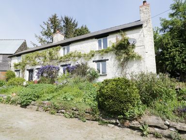An exterior view of a stone house with climbing plants and a garden bed at Rhydygaled in Llanrhaeadr-Ym-Mochnant