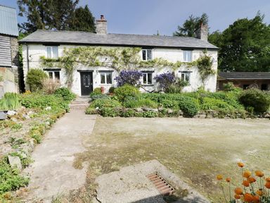 A white stone house with black doors and windows surrounded by greenery and flowers at Rhydygaled in Llanrhaeadr-Ym-Mochnant