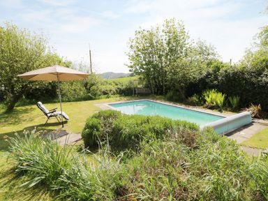 An outdoor area with a rectangular swimming pool surrounded by grass shrubs and trees with a lounge chair and umbrella nearby at Rhydygaled in Llanrhaeadr-Ym-Mochnant