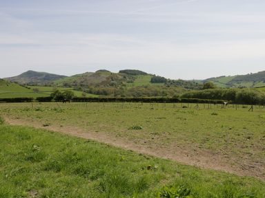 A fenced green pasture with horses and hills in the background at Rhydygaled in Llanrhaeadr-Ym-Mochnant
