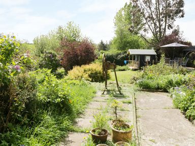 An outdoor garden with various plants and bushes a stone path a small shed table with chairs and an umbrella at Rhydygaled in Llanrhaeadr-Ym-Mochnant