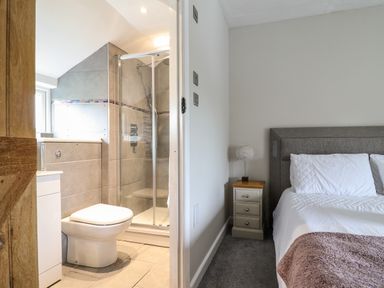 A bedroom with a bedside table and lamp next to an en suite bathroom with a toilet and shower at Rhydygaled in Llanrhaeadr-Ym-Mochnant