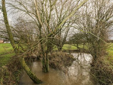 A small river flowing through a grassy area with leafless trees along the banks at The Annex in Royal Wootton Bassett