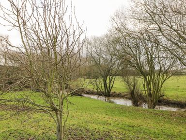 A grassy field with leafless trees and a small river flowing through it at The Annex in Royal Wootton Bassett