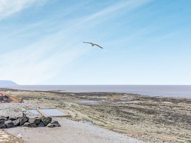 A rocky coastline with a pool and a seagull flying above at The Old Byres in Washford near Watchet