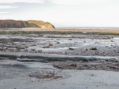A rocky beach with patches of sand and scattered stones near cliffs at The Old Byres in Washford near Watchet