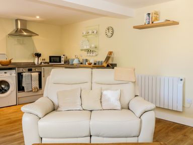 A kitchen area with appliances and a white leather sofa with three cushions at Woodpecker Lodge in Henley near Langport