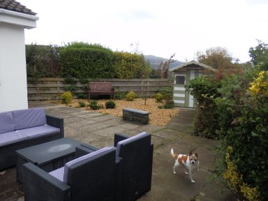 A garden patio with outdoor furniture a small dog bushes a wooden bench and a shed at Dehangfa in Fairbourne