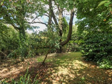 A garden area with trees and grass at Manege Cottage Near St Agnes