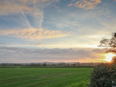 A green field with trees and bushes under a sky at sunset at South Lodge in Hazelbury Bryan