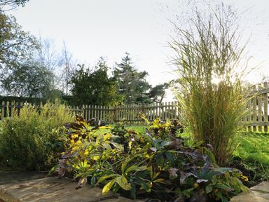 A garden with various plants and a wooden fence in the background at South Lodge in Hazelbury Bryan