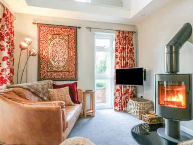 A living room with a leather sofa a wall hanging a standing lamp a wood burning stove and a small TV at South Lodge in Hazelbury Bryan