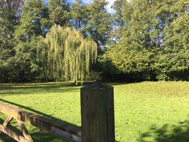 A wooden fence post and gate with a grassy area and trees including a weeping willow in the background at Zeal Cottage in Crediton