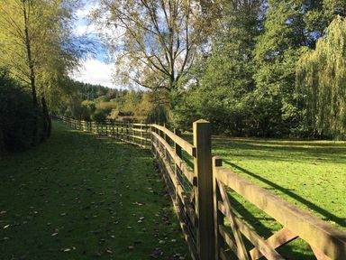 A wooden fence running through a grassy area with trees on both sides at Zeal Cottage in Crediton
