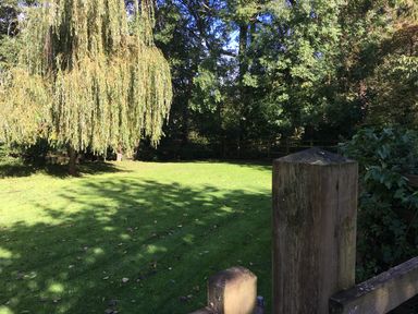 A garden with green grass trees and a wooden fence post at Zeal Cottage in Crediton