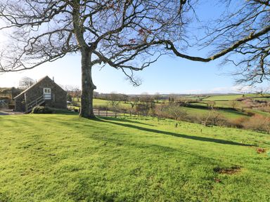 A grassy yard with a large tree and a stone building surrounded by fields and fences at Pollys Bower in Landrake