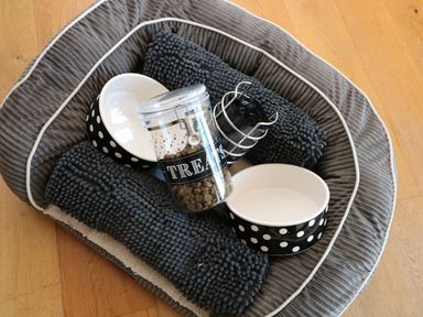 A pet bed with two black and white polka dot food bowls a jar labeled treats and a black metal object on a wooden floor at Polly's Bower in Landrake