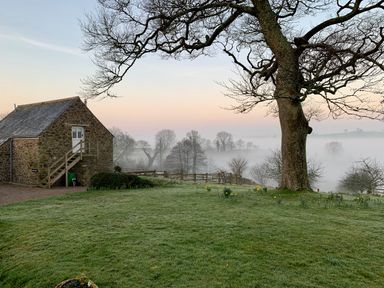 A stone building with external stairs next to a large tree on a grassy lawn with daffodils and fog covering the distant trees at Pollys Bower in Landrake