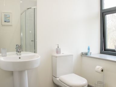 A bathroom with a white sink and toilet near a window at The Farm in Presteigne