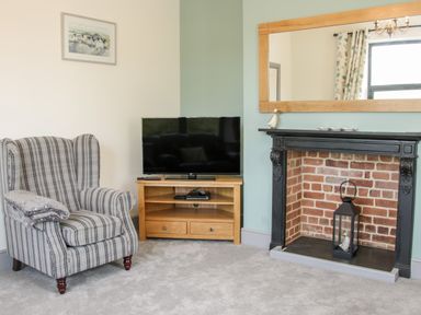A corner of a living room with a striped armchair a television on a wooden stand and a fireplace with a black frame at The Farm in Presteigne