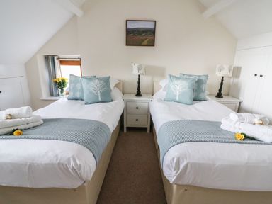 A bedroom with two single beds side by side with blue cushions and throws a bedside table with a lamp and a window with flowers at Oakwood House in Rhayader