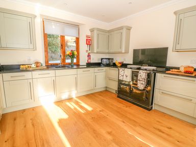A kitchen with light gray cabinets wooden floor a window a stove and countertop appliances at Oakwood House in Rhayader