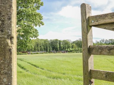 A grassy field with a wooden gate and houses in the distance surrounded by trees at Woodpecker Lodge in Gargrave