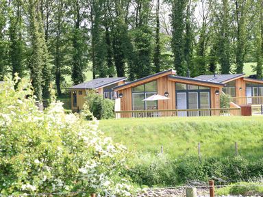 Wooden lodges with slanted roofs surrounded by grass and trees at Woodpecker Lodge in Gargrave