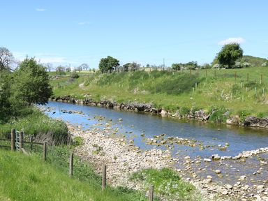 A river flowing through a grassy countryside with trees and fences at Woodpecker Lodge in Gargrave