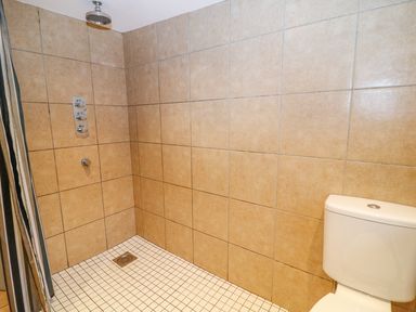 A tiled shower area with shower controls and a toilet visible at Blue Anchor in Fraddon