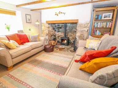 A living room with two sofas a stone fireplace with a wood burning stove a bookshelf and a rug at Blue Anchor in Fraddon