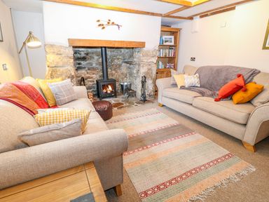 A living room with two sofas and a fireplace at Blue Anchor in Fraddon