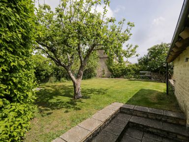 A garden with a tree grass hedges a stone wall and a bench at The Barn at Daubeneys Colerne