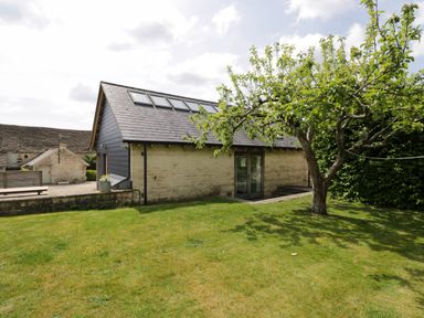 A garden with a tree and a stone and wood building with skylights at The Barn at Daubeneys in Colerne