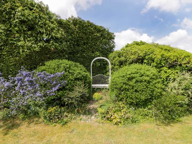 A garden with green bushes blue flowers and a white metal bench at The Barn at Daubeneys Colerne