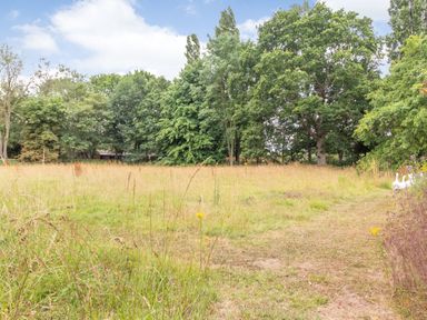 A field with tall grass and trees in the background with a dirt path and white birds on the right at The Hen House in Diss near Gissing