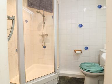 A bathroom with a shower enclosure and a toilet with a teal wooden seat cover at Tower House in Boscastle